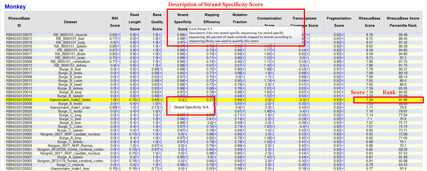 detail information of dataset