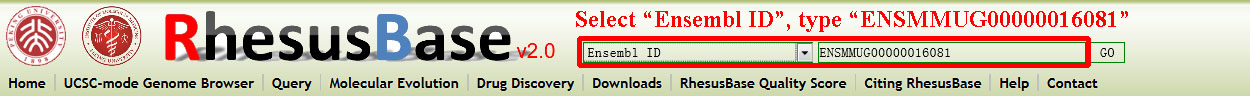 RhesusBase search