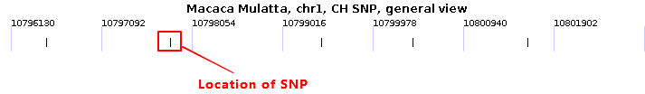 image: CHSNP