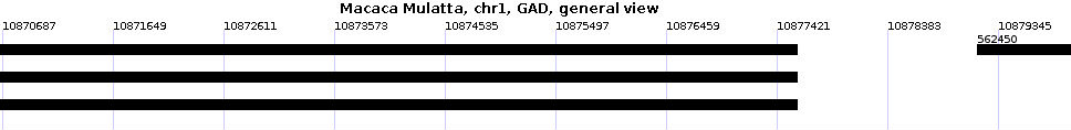 image: GAD Track