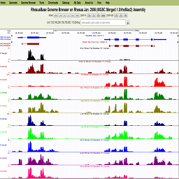 UCSC-mode Browser