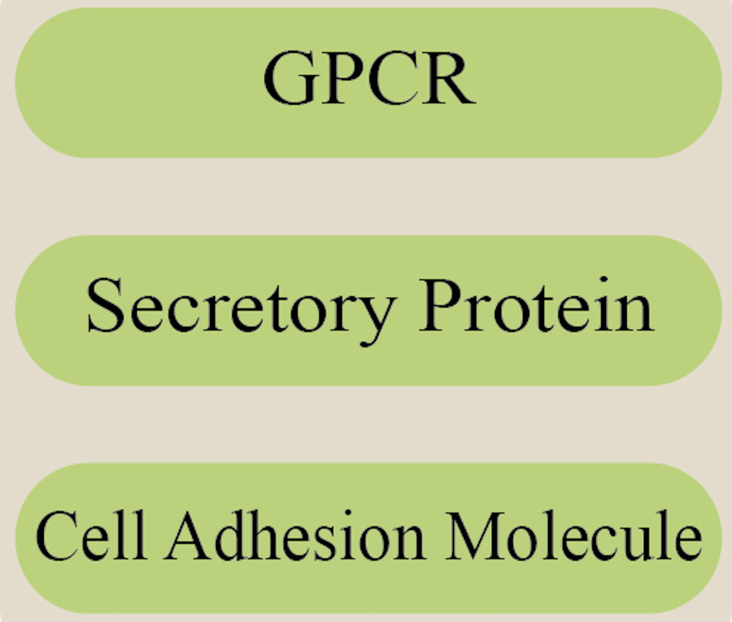 Drug Discovery